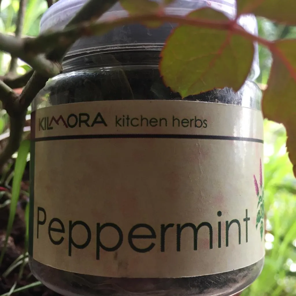 Peppermint